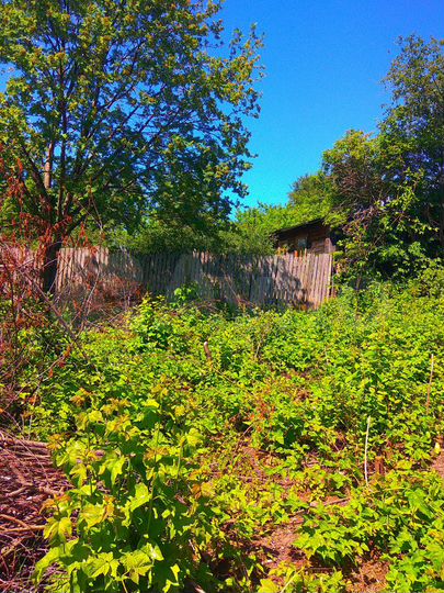 Участок 7 сот. (СНТ, ДНП)