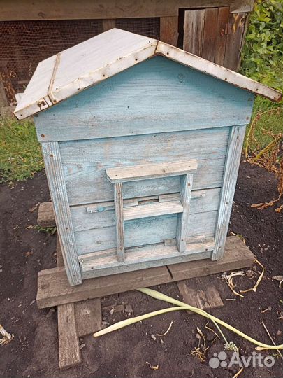 Улей для пчел бу