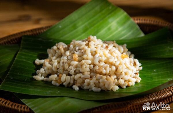 Живой Зофобас и муравьиные яйца