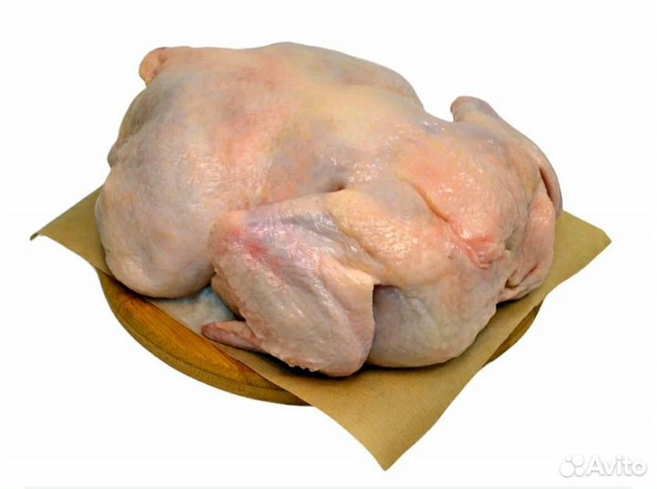 Утка и курица домашняя мясо