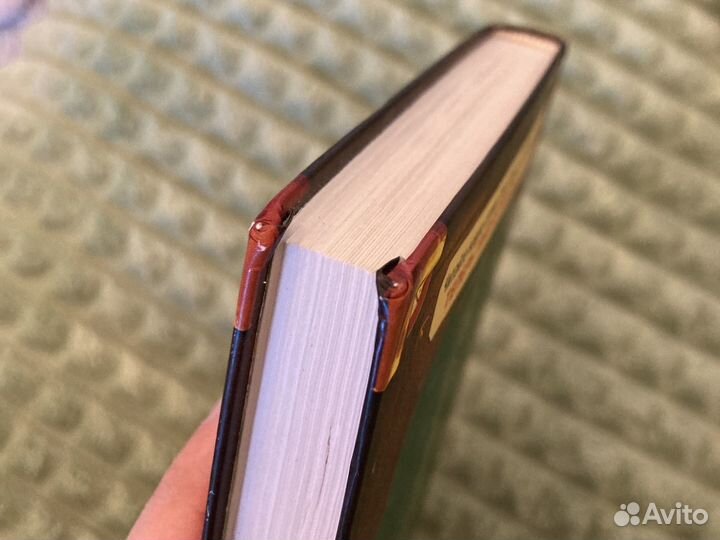 Эрин Хантер, Коты-Воители: стань диким