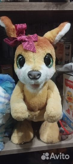 Кенгуру джози