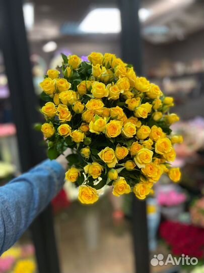 Цветы розы кустовые