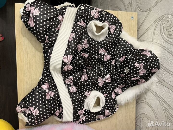 Зимний комбинезон для маленькой собаки