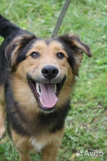 Детство шенка не должно быть за решеткой