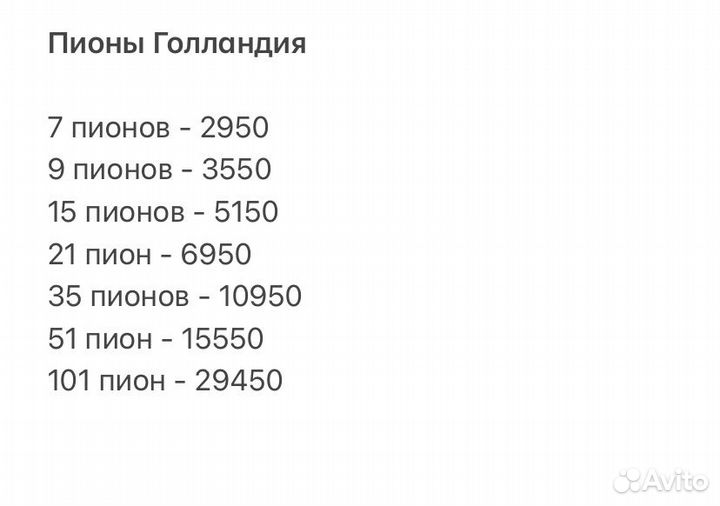 Пионы голландские опт