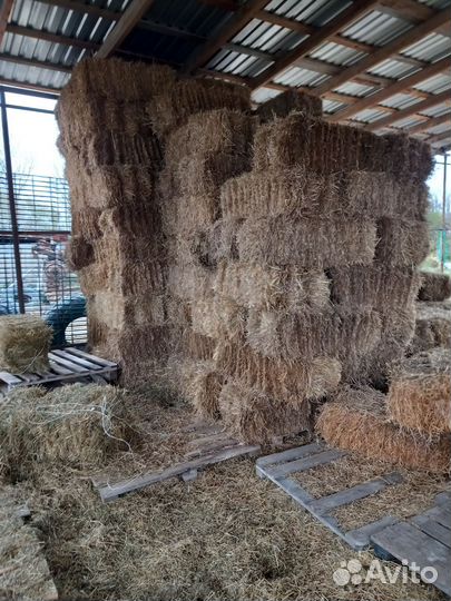 Сено Солома