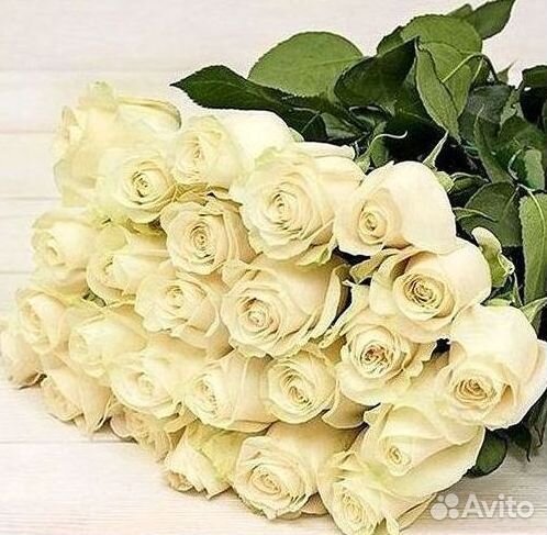 Высокие розы Гигантские розы Доставка цветов