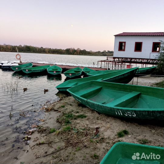 Лодка голавль
