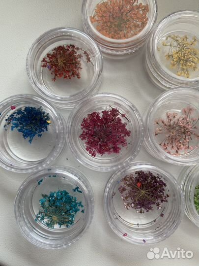 Сухоцветы для дизайна ногтей