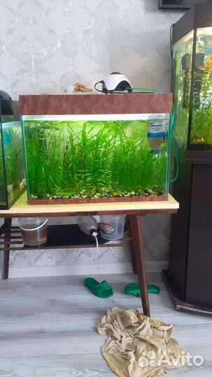 Аквариум террариум