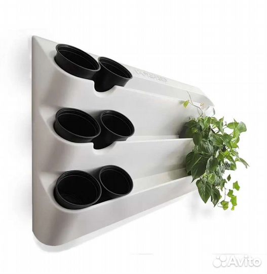 Фитомодуль для растений