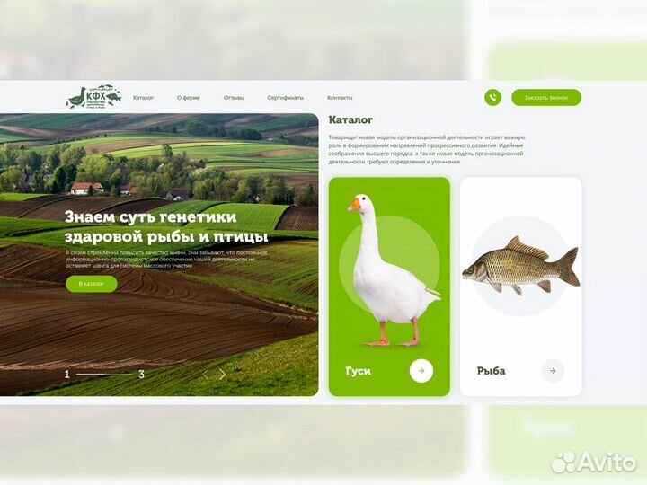 Разработка сайтов. Продвижение в топ