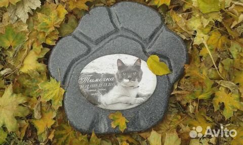 Памятник животному (собаке, кошке) на могилу