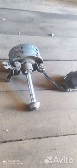 Сирена ревун