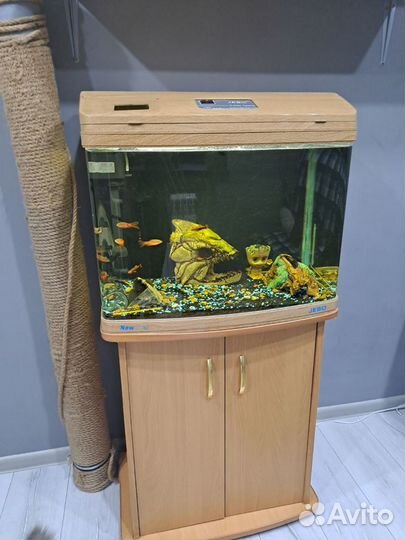 Аквариум с рыбками 100 литров