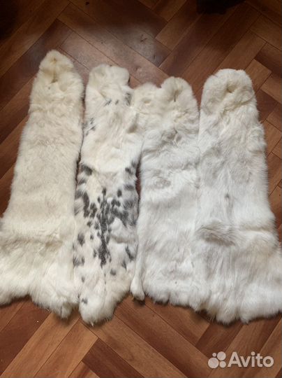 Шкурка животного