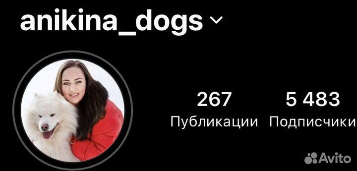 Мальтипу ф1 mini и стандарт