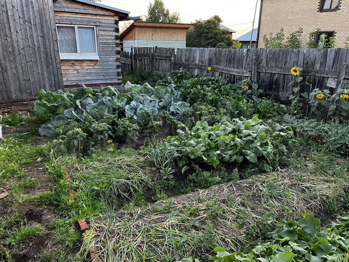 Дом 60 м² на участке 6,5 сот.