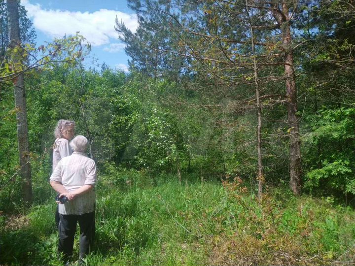 Участок 15 сот. (СНТ, ДНП)