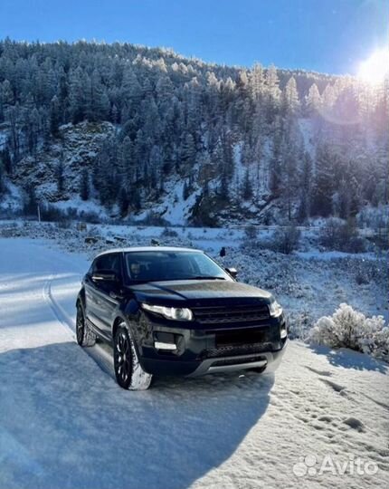 Аренда без водителя Range Rover с панорамой. Алтай