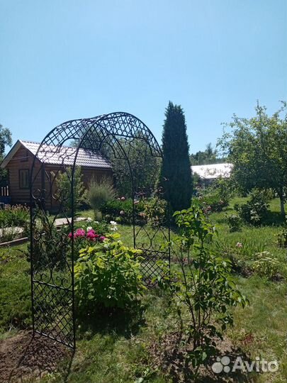 Арки шпалеры