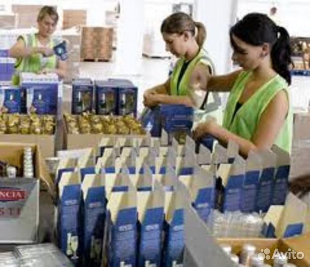 Упаковщики наборов Еженедельные Выплаты