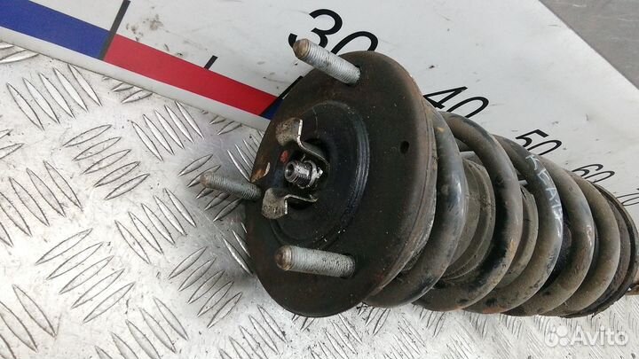 Стойка передняя Lexus GS 3 поколение (2004-2012)