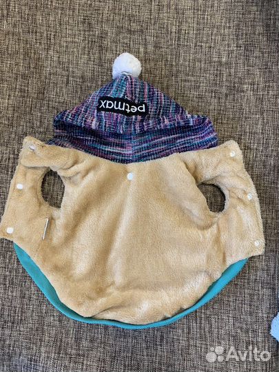 Одежда для собак