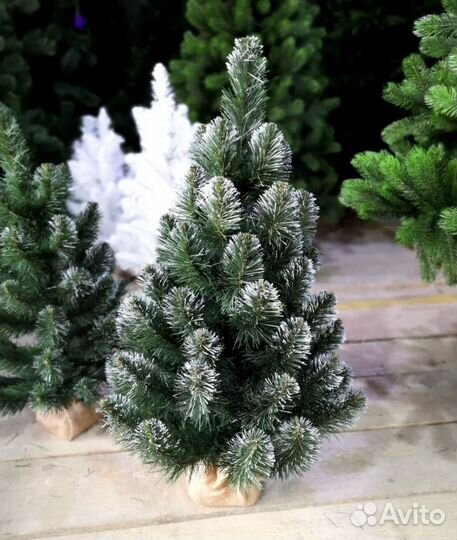 Елки оптом