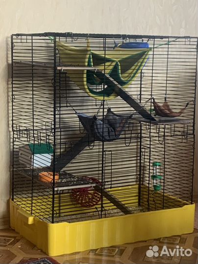 Большая клетка для крыс