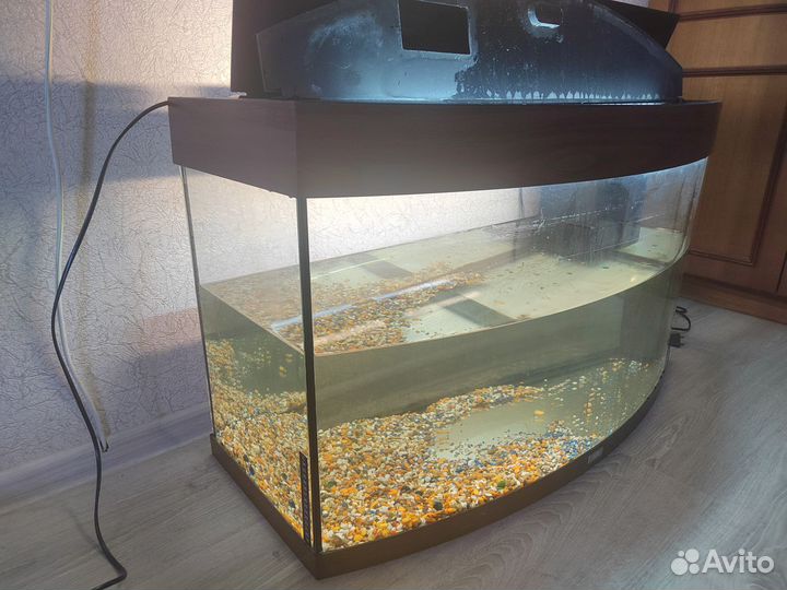 Аквариум juwel 170 л