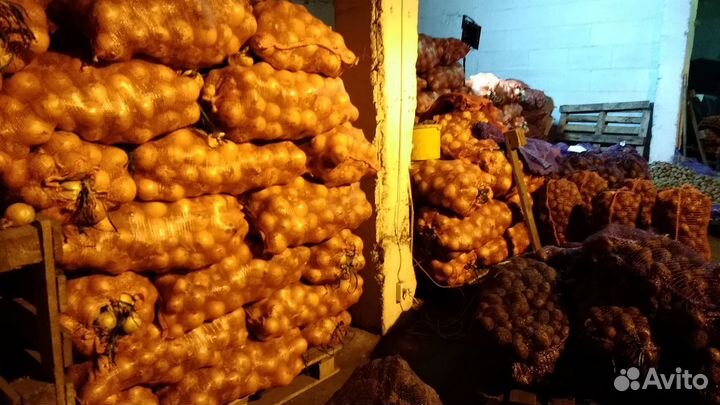 Картофель доставка бесплатно Гала, Пикассо и т.д