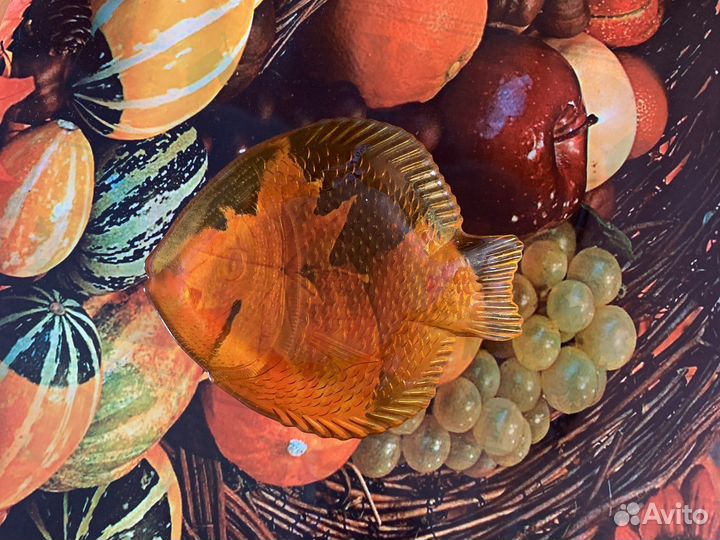 Блюдо под рыбу