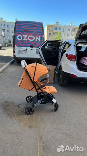 Coletto Maya Automatic 2023