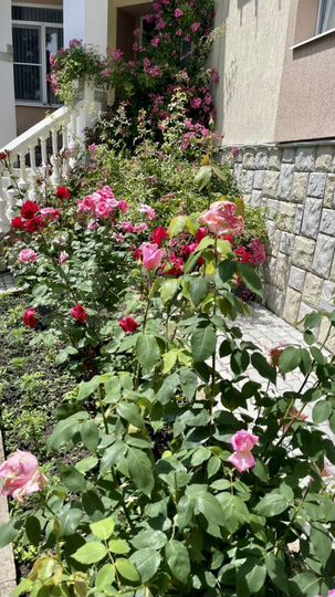 Комната 20 м², 2/2 эт.