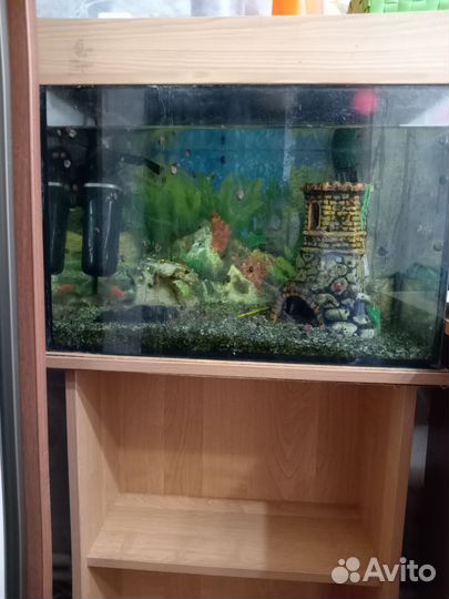 Аквариум