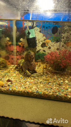 Аквариум с рыбками