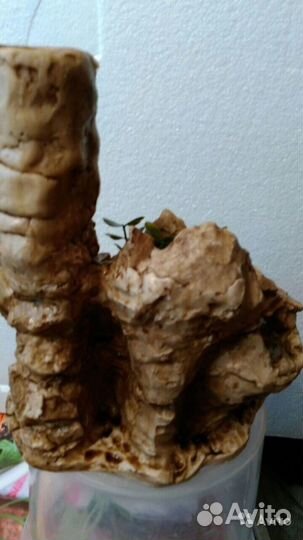 Всё для Аквариума