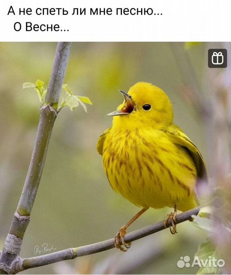 Женские вещи 42 44