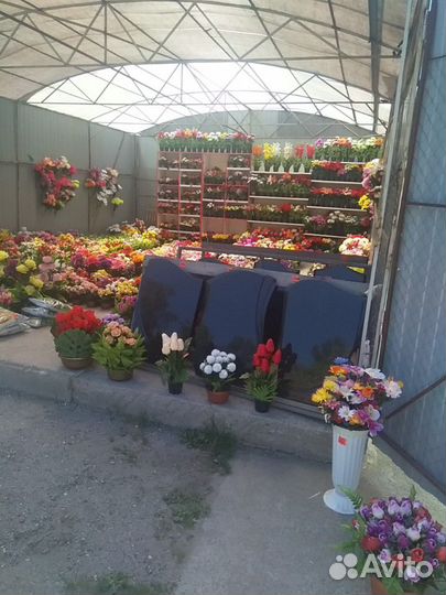 Ритуальное агенство.Агент