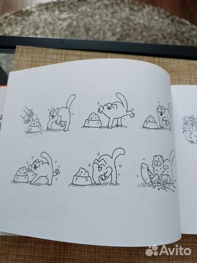 Книга с рисунками 