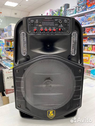 Комбоусилитель CH-8612