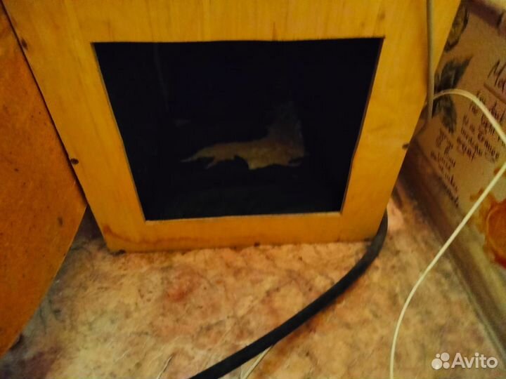 2 шумобокса