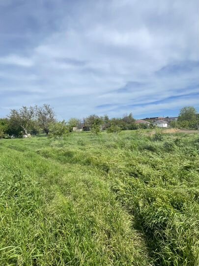 Участок 13 сот. (ИЖС)