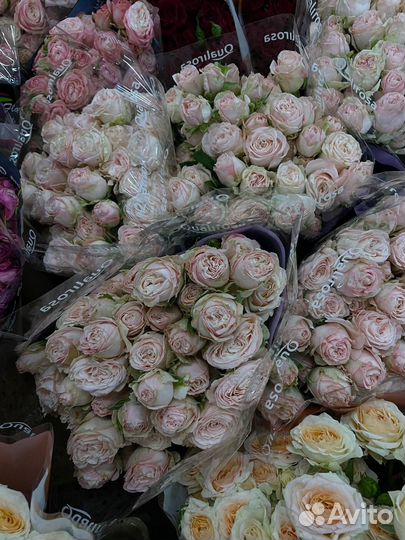 Розы кустовые букет доставка Иркутск