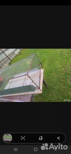 Клетка для перепелов