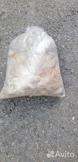 Собачья шерсть