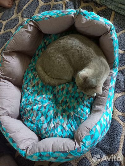 Лежанка для кошек