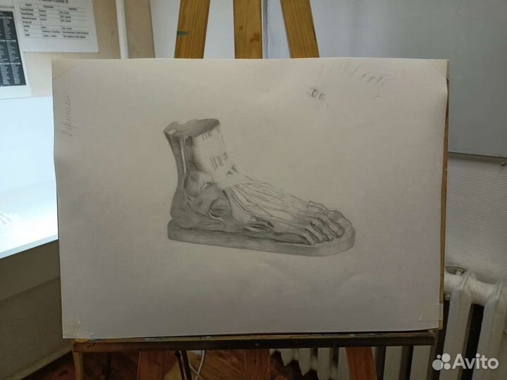 Обучение рисунку и живописи, очно/ дистанционно